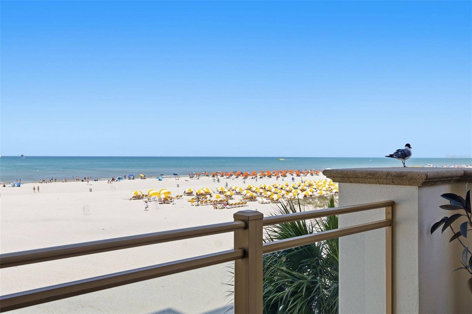 11 BAYMONT STREET, #302, Clearwater Beach, FL 33767 11 BAYMONT STREET, #302, Clearwater Beach, FL 33767