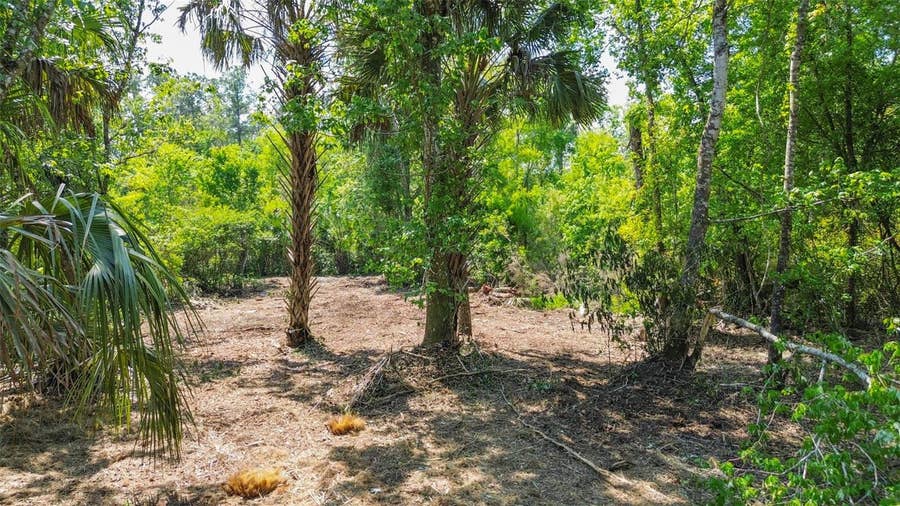 Property photo for 0 MUDDY WATER TRAIL, Thonotosassa, FL