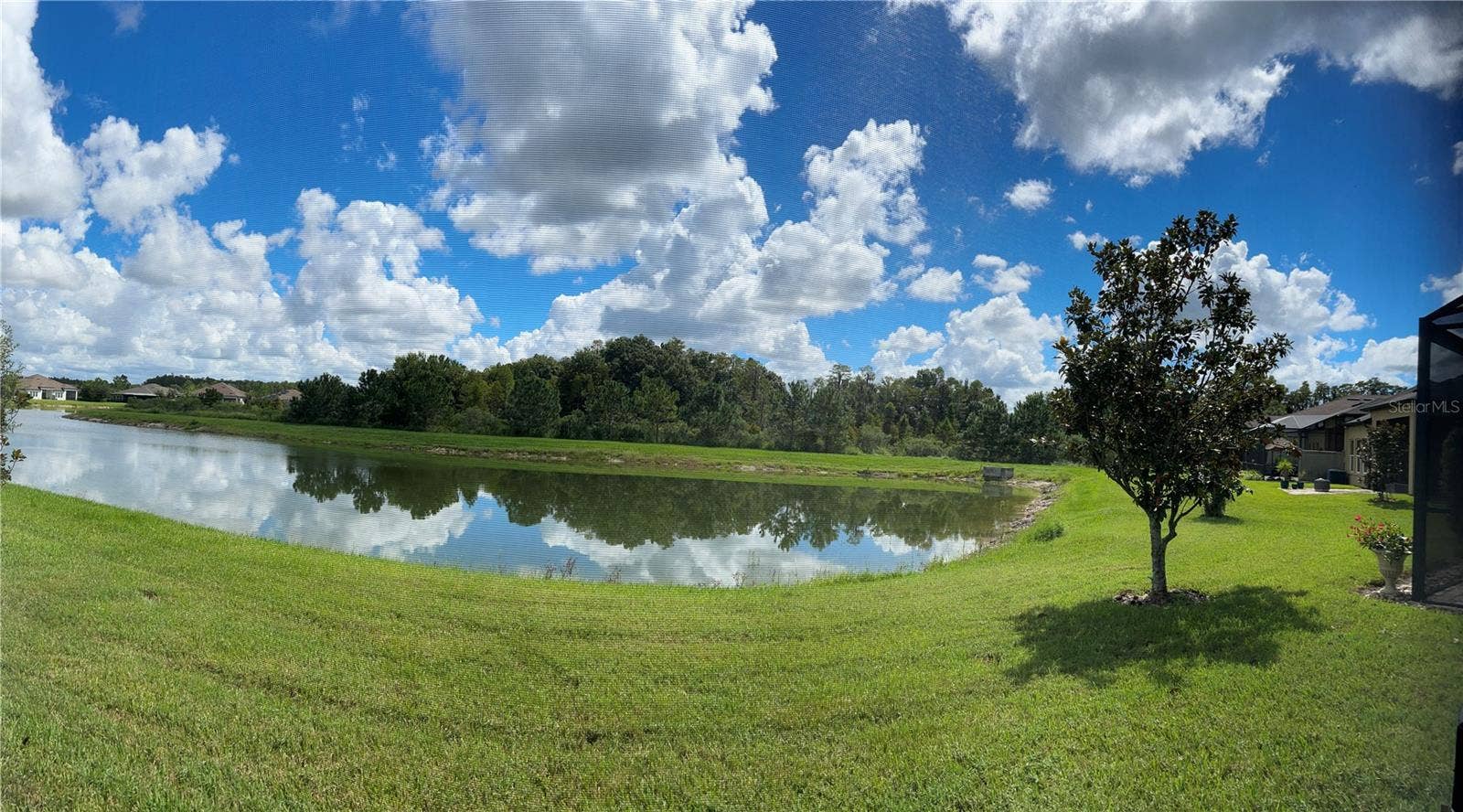 4170 BARLETTA COURT, Wesley Chapel, FL 33543 Pond and Conservation view