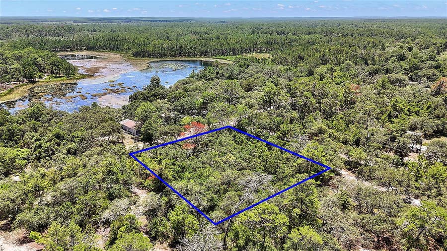Property photo for 0 SE 197TH AVENUE, Ocklawaha, FL