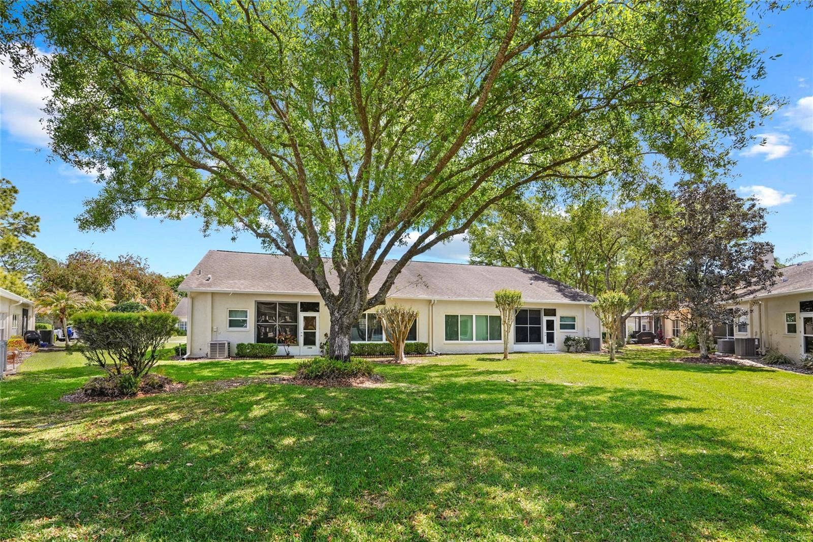 3511 TEALWOOD CIRCLE, Palm Harbor, FL 34685 BACKYARD