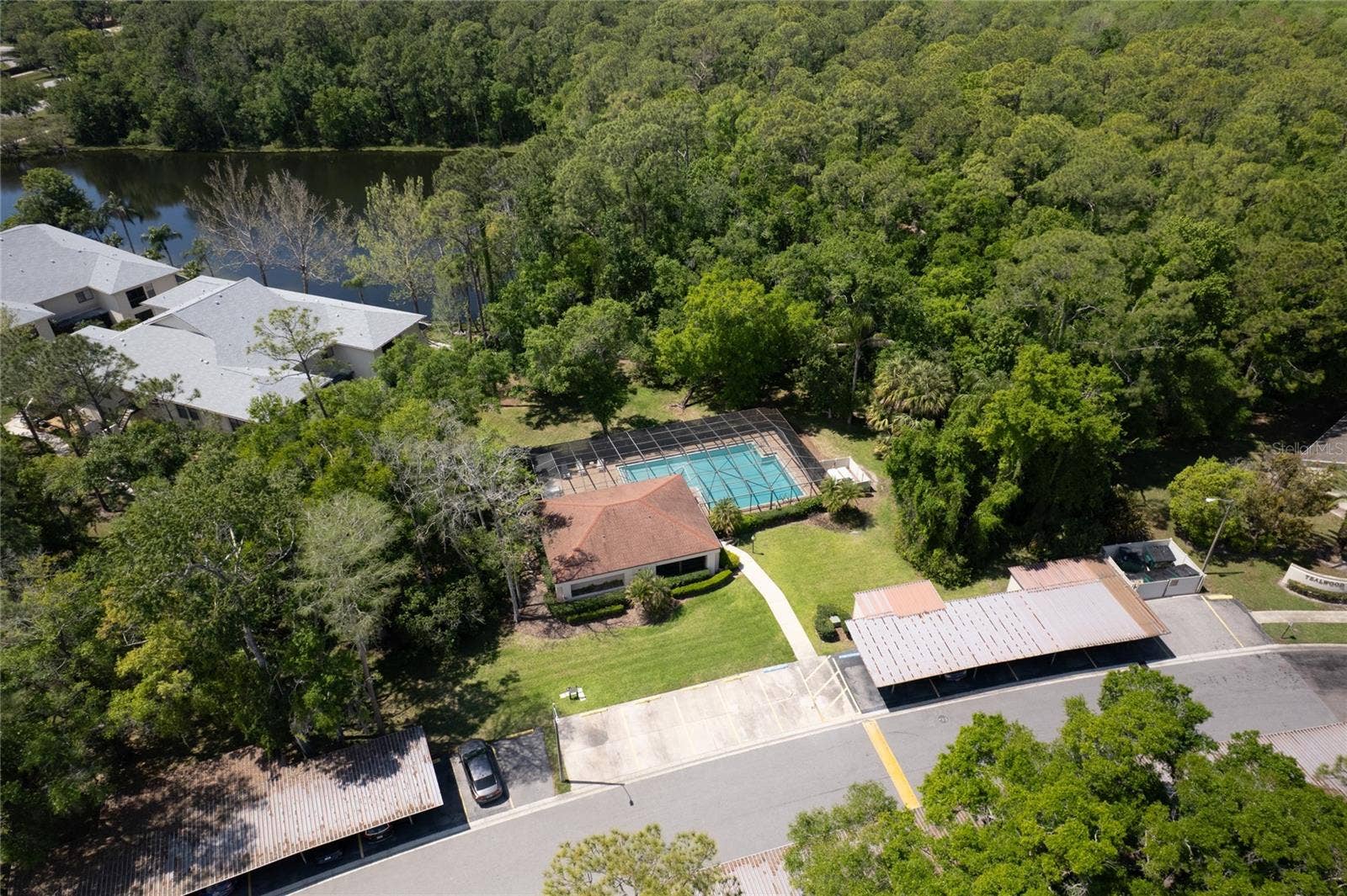 3511 TEALWOOD CIRCLE, Palm Harbor, FL 34685 COMMUNITY POOL