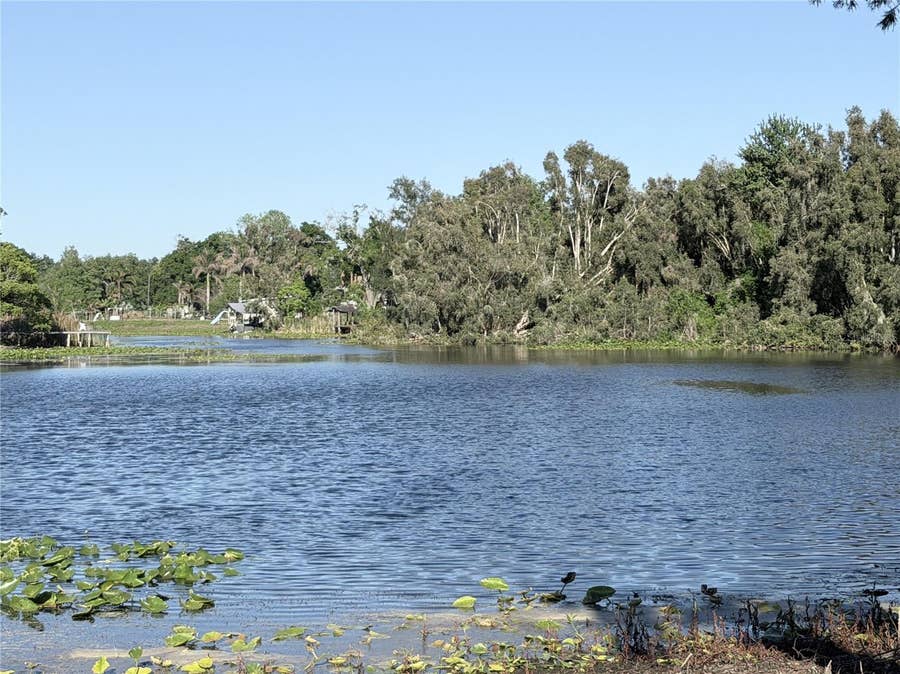 Property photo for 11505 N ROME AVENUE, Tampa, FL