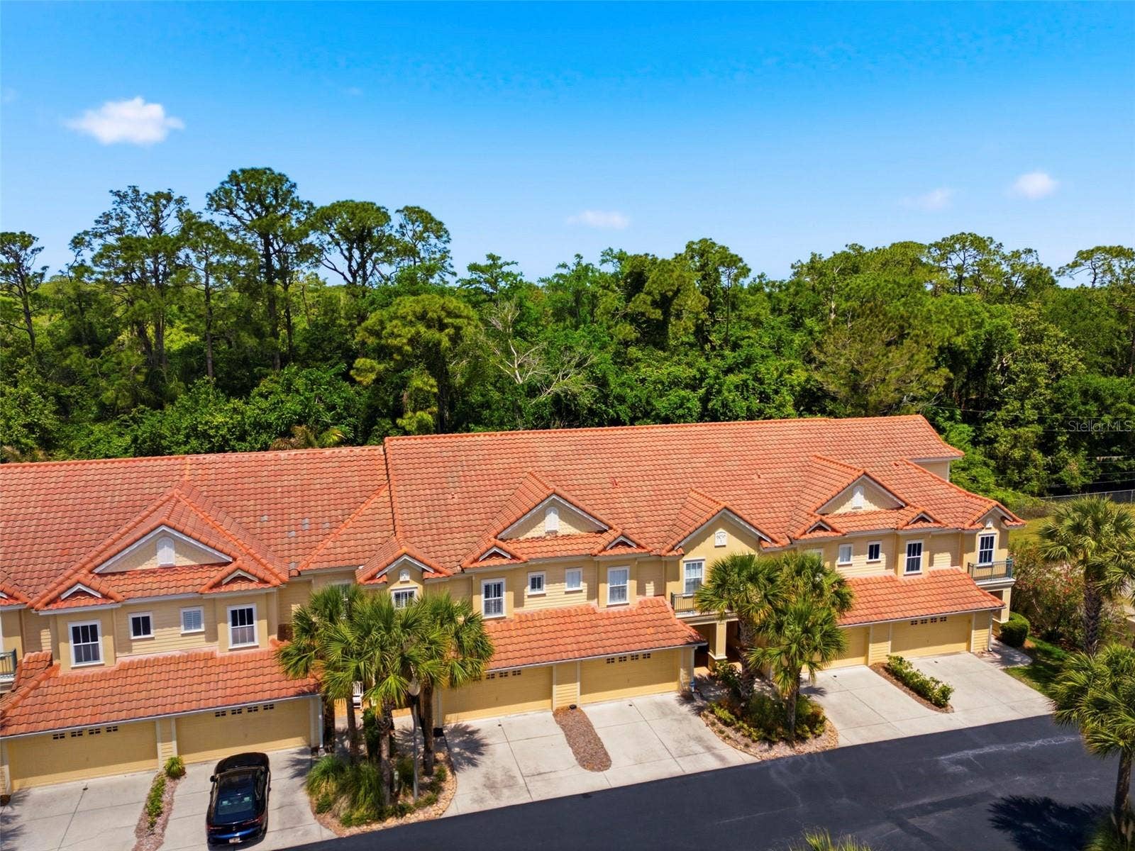 2670 TANGLEWOOD TRAIL, Palm Harbor, FL 34685 2670 TANGLEWOOD TRAIL, Palm Harbor, FL 34685