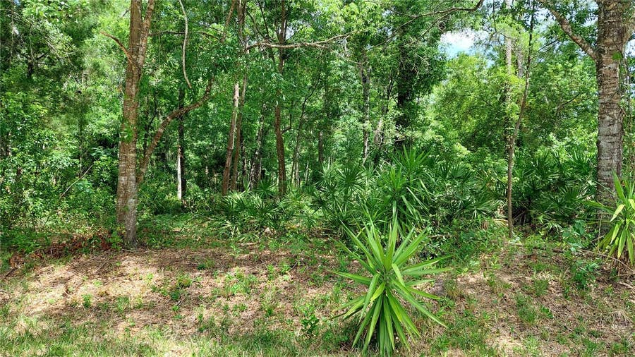 Property photo for DAVISTA, New Port Richey, FL