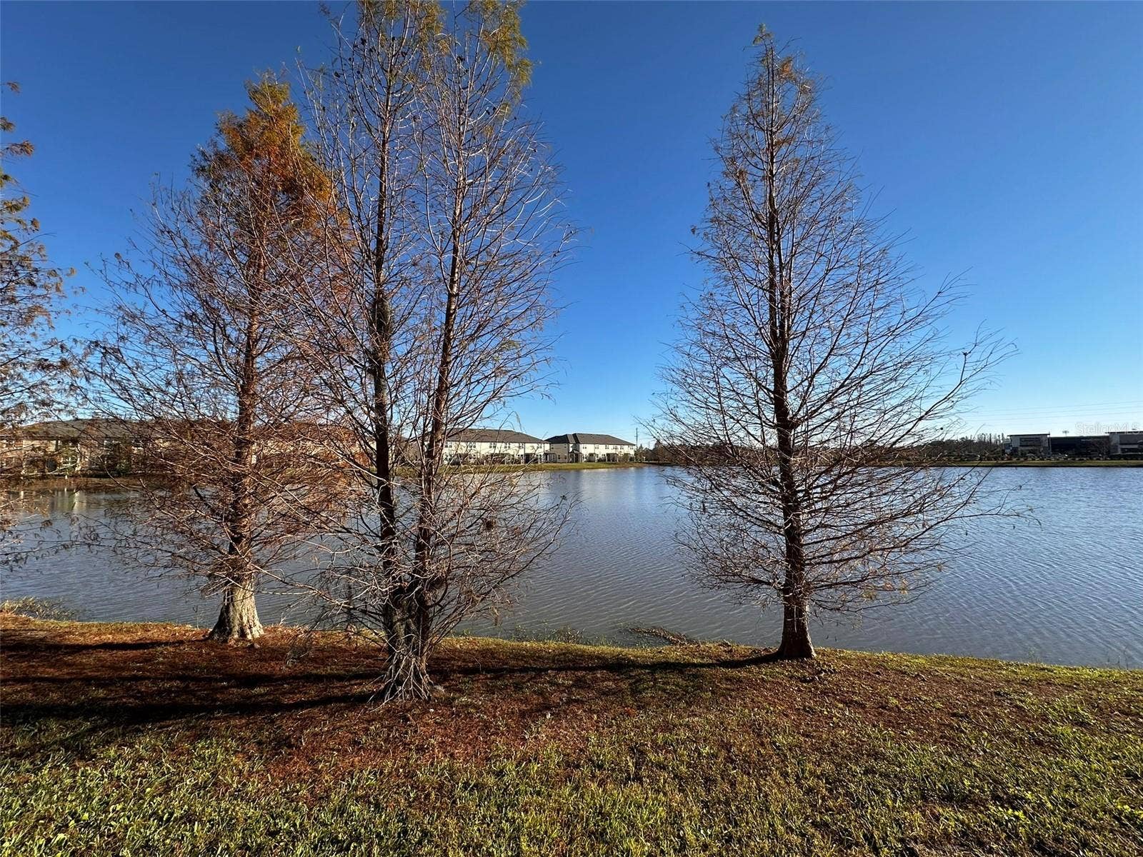 29850 SOUTHWELL LANE, Wesley Chapel, FL 33543 29850 SOUTHWELL LANE, Wesley Chapel, FL 33543