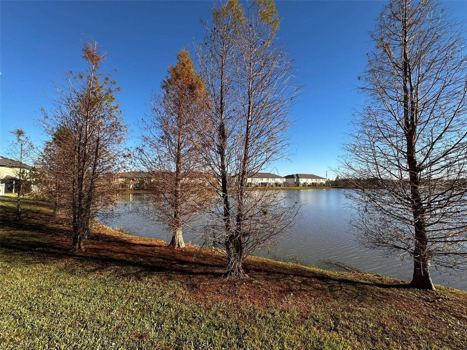 29850 SOUTHWELL LANE, Wesley Chapel, FL 33543 29850 SOUTHWELL LANE, Wesley Chapel, FL 33543