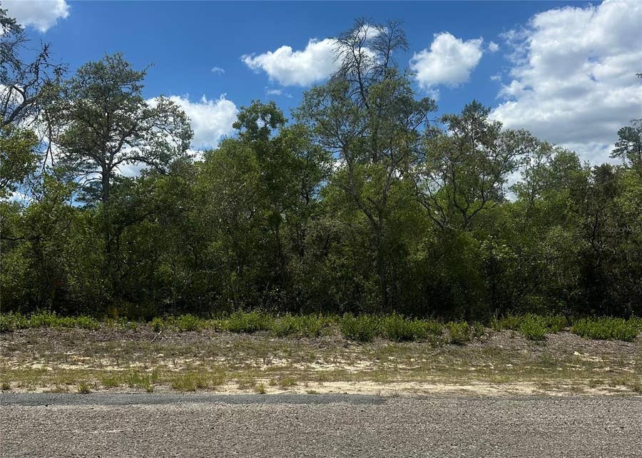 Property photo for 8036 N WAYSIDE AVENUE, Dunnellon, FL