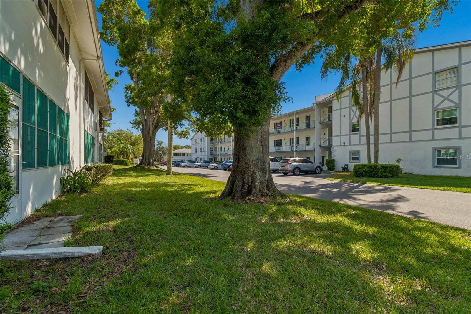 Grass yard outside your Florida Room