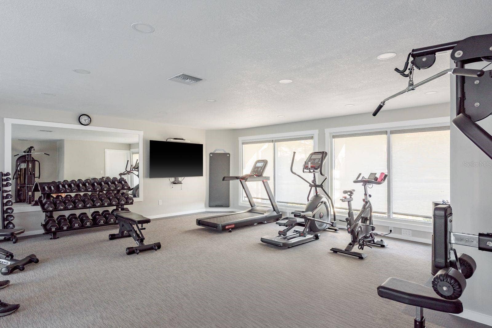 Clubhouse Gym