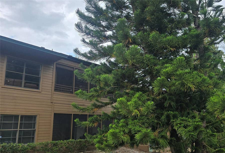 Property photo for 406 LENNOX ROAD W, Palm Harbor, FL