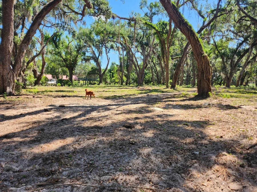 Property photo for MUCK POND ROAD, Seffner, FL