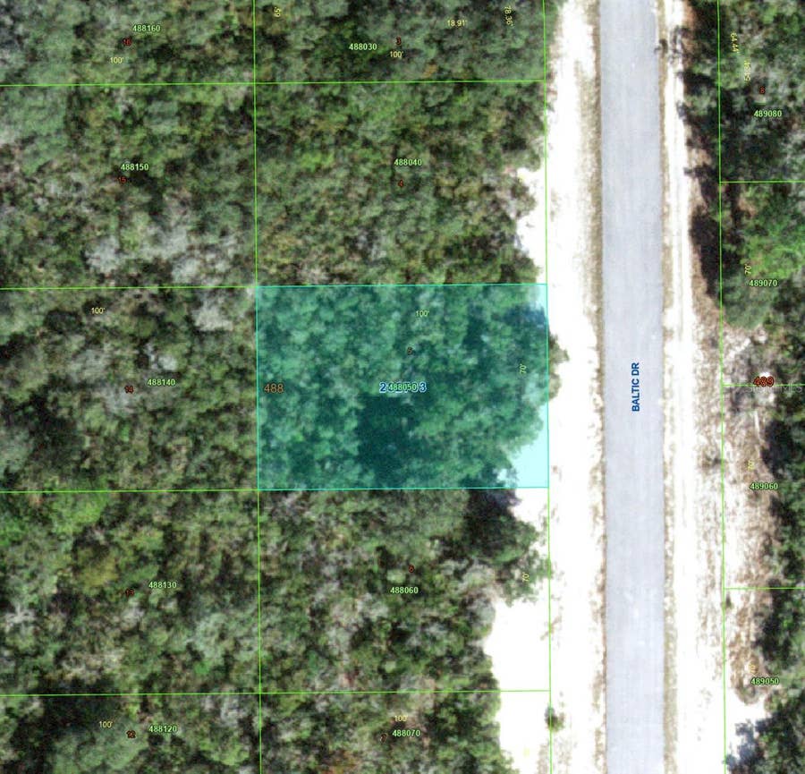 Property photo for 1238 BALTIC DRIVE, Kissimmee, FL
