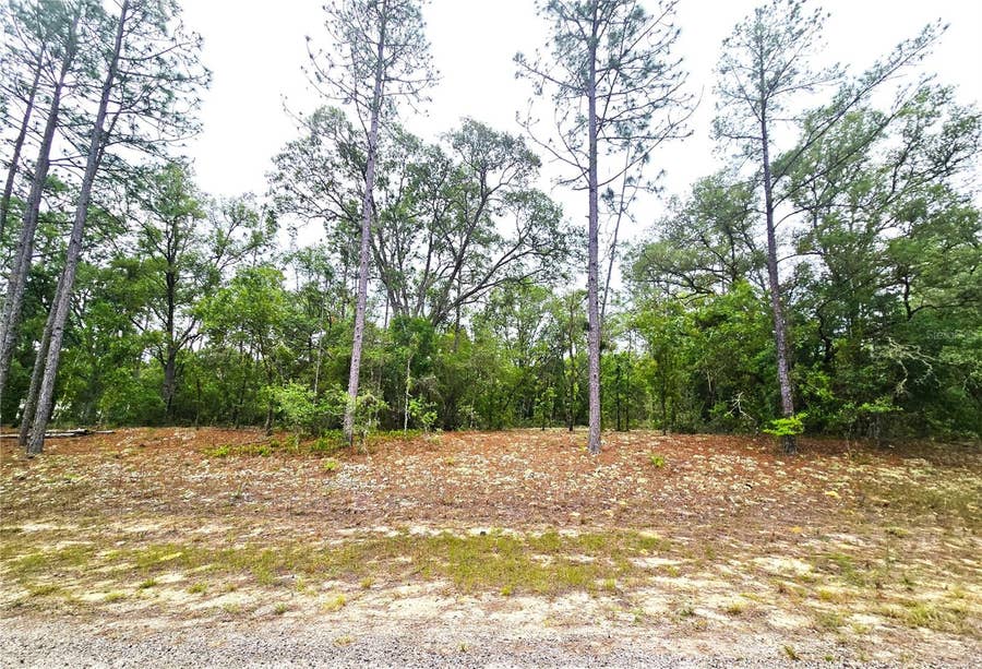 Property photo for 576 E NEMO DRIVE, Dunnellon, FL