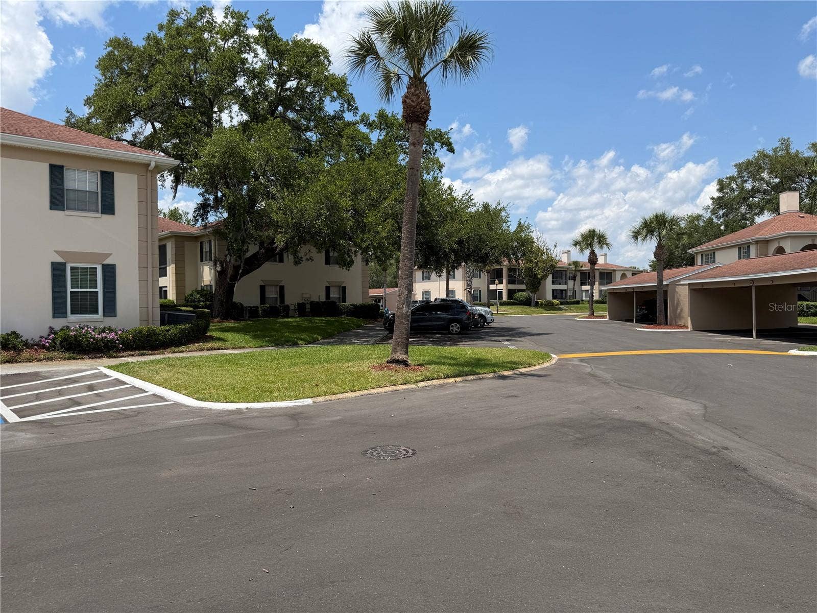 10335 CARROLLWOOD LANE, #116, Tampa, FL 33618 10335 CARROLLWOOD LANE, #116, Tampa, FL 33618