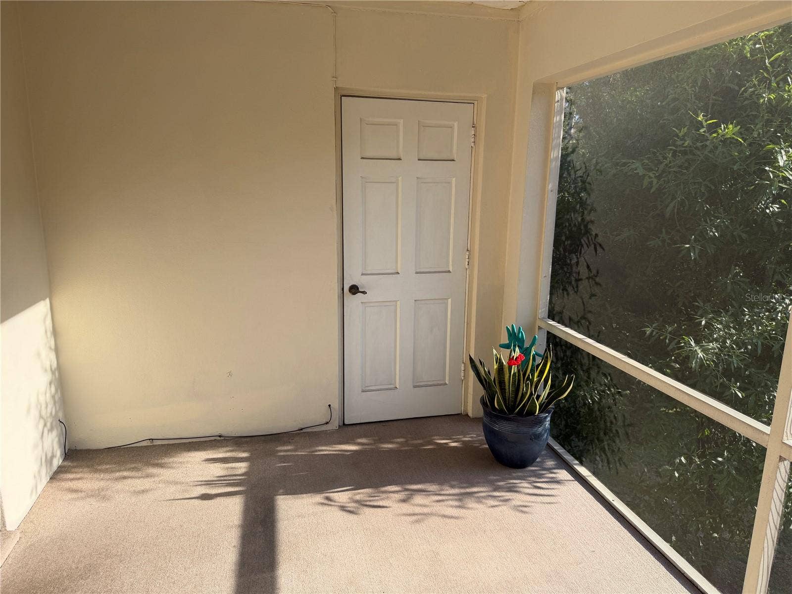 10335 CARROLLWOOD LANE, #116, Tampa, FL 33618 10335 CARROLLWOOD LANE, #116, Tampa, FL 33618