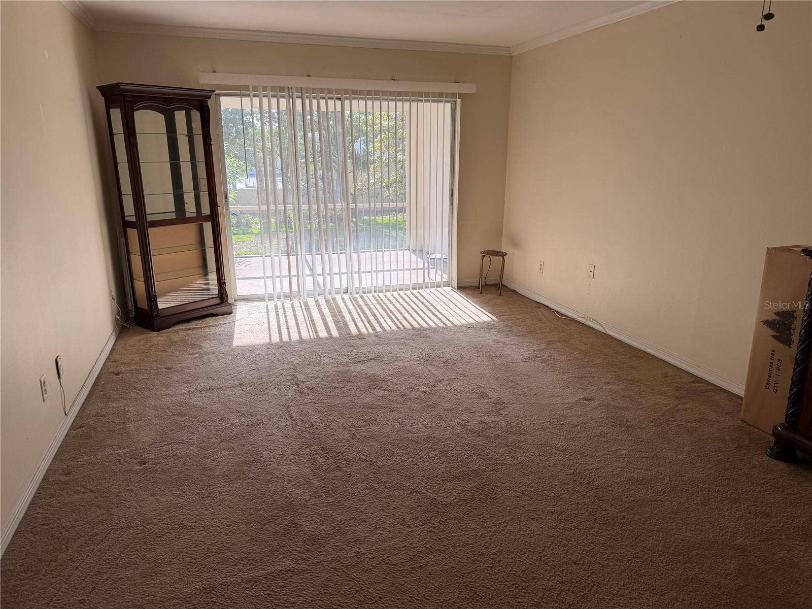 10335 CARROLLWOOD LANE, #116, Tampa, FL 33618 10335 CARROLLWOOD LANE, #116, Tampa, FL 33618