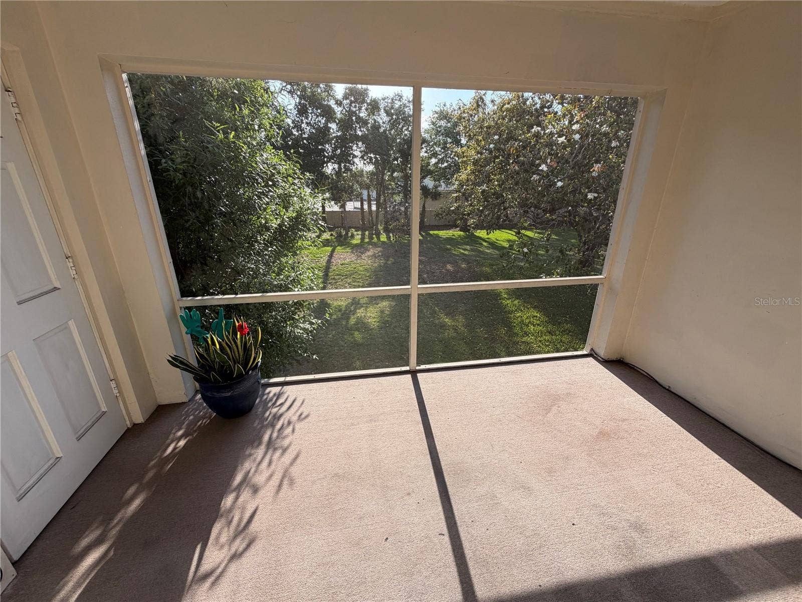 10335 CARROLLWOOD LANE, #116, Tampa, FL 33618 10335 CARROLLWOOD LANE, #116, Tampa, FL 33618