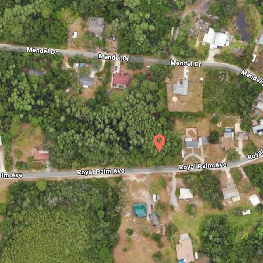 Property photo for 9805 ROYAL PALM AVENUE, New Port Richey, FL