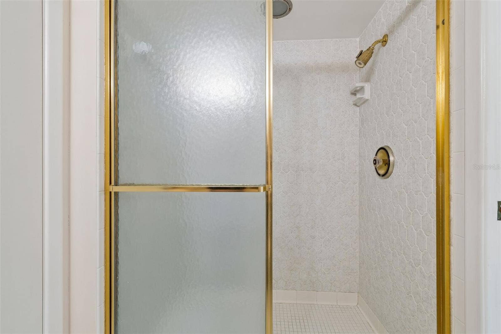 Guest shower