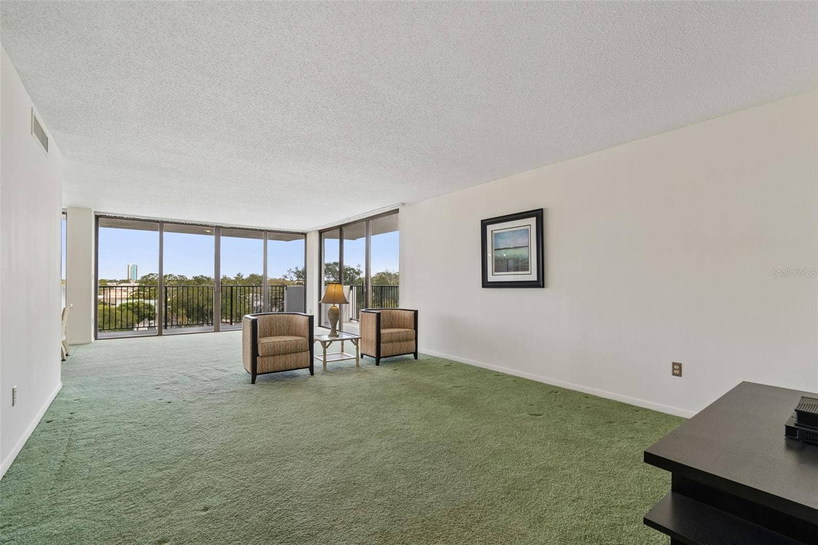 Large Living Space!