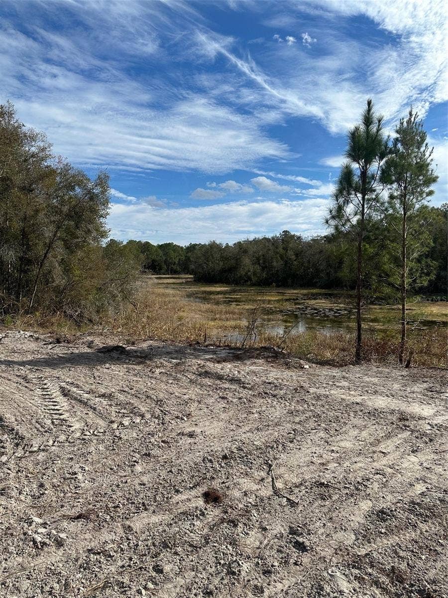 Property photo for BERRYHILL DRIVE, Webster, FL