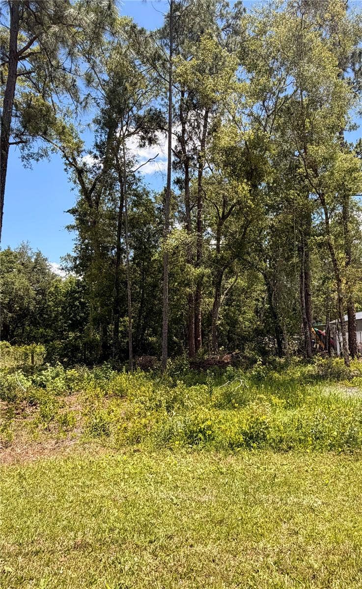 Property photo for 6327 FIG AVENUE, Webster, FL