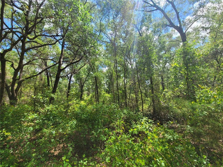 Property photo for 912 FERNCREEK AVENUE, Inverness, FL