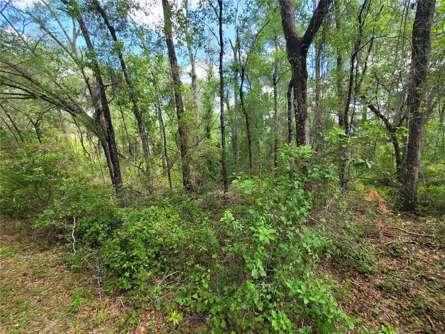 Property photo for 910 FERNCREEK AVENUE, Inverness, FL