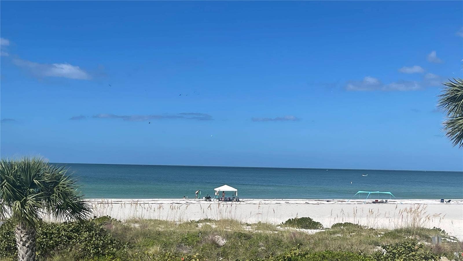 1390 GULF BOULEVARD, #PH-3, Clearwater Beach, FL 33767