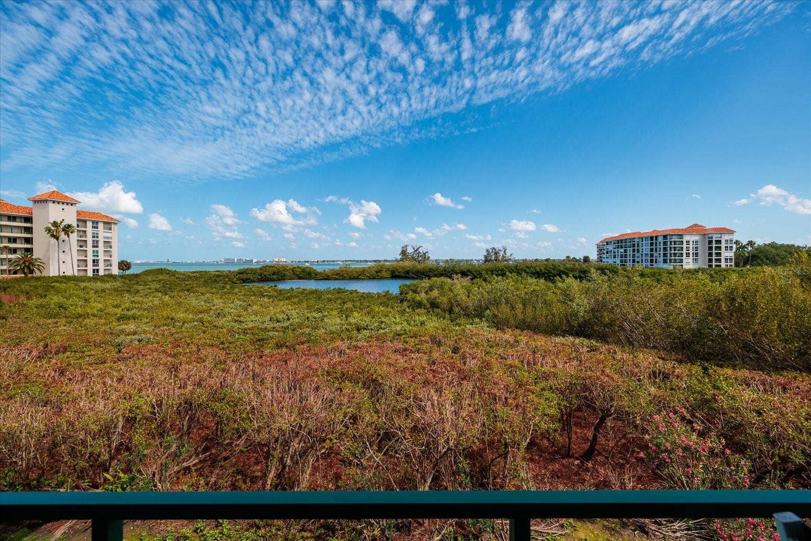 4801 OSPREY DRIVE S, #207, St Petersburg, FL 33711