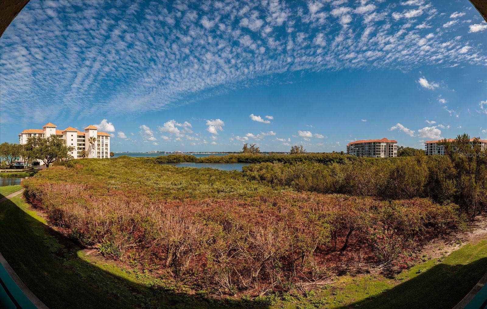 4801 OSPREY DRIVE S, #207, St Petersburg, FL 33711