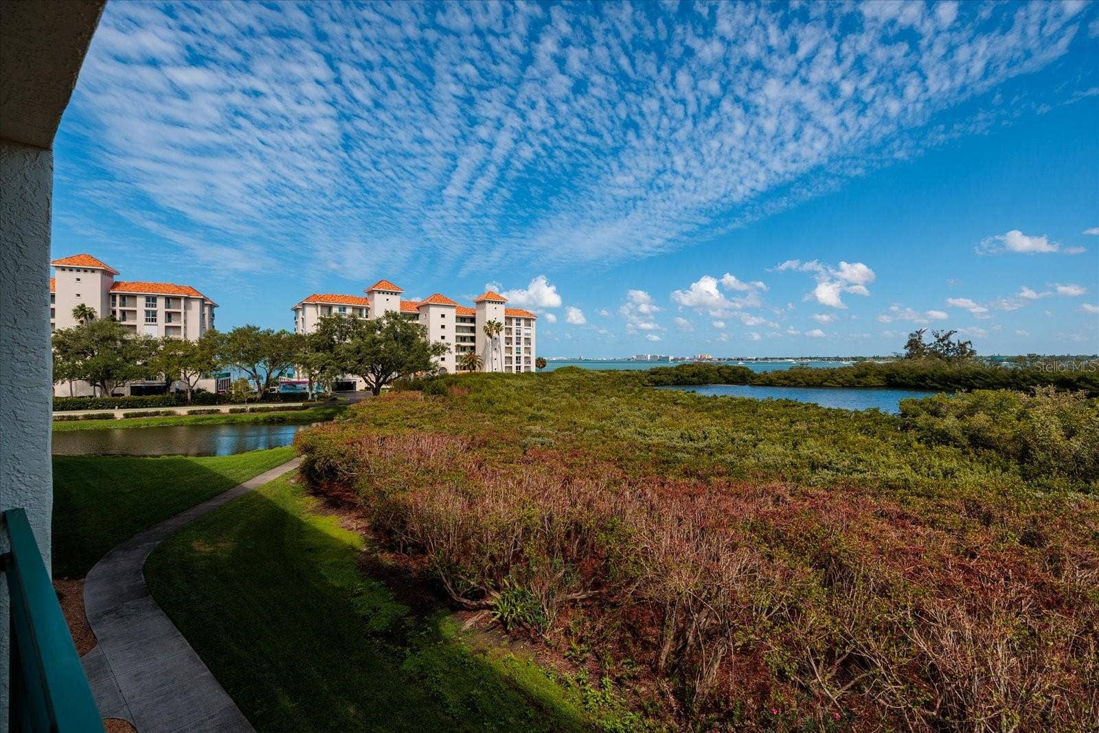 Marsh with Boca Ciega Bay beyond