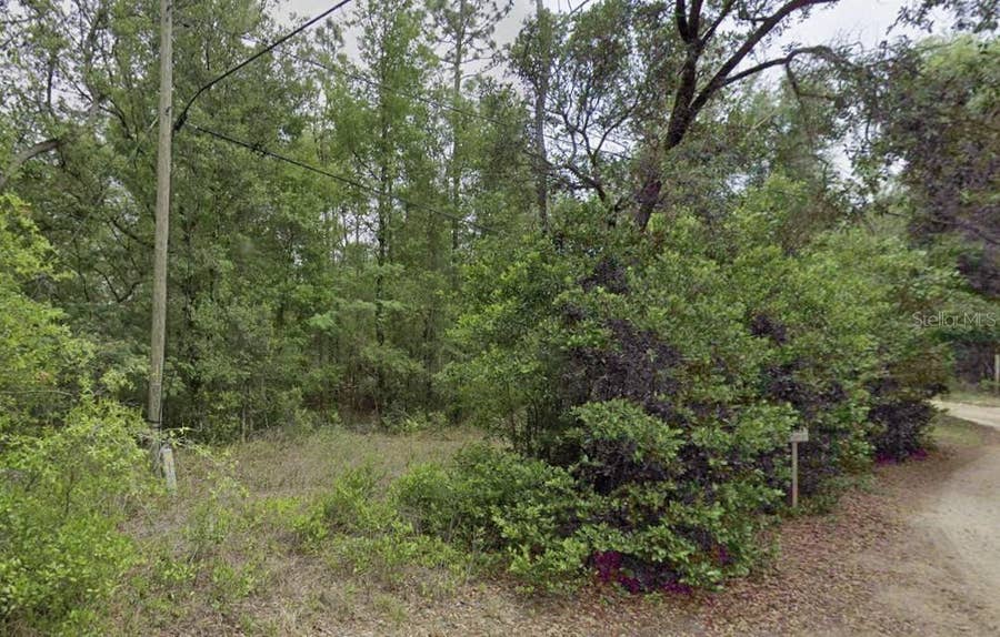 Property photo for 10013 N HOLYOAK TERRACE, Dunnellon, FL