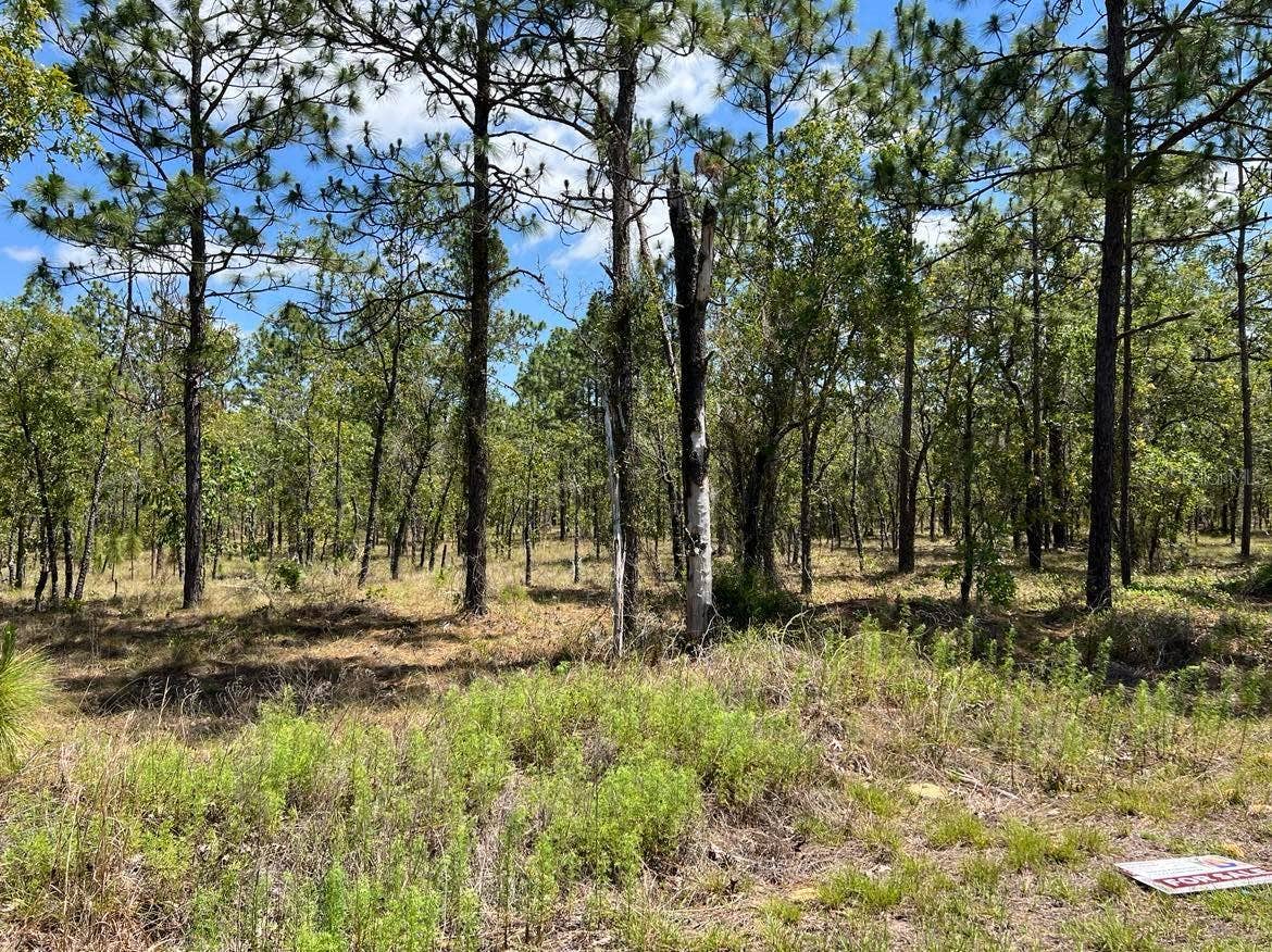 NW AMBERJACK, LOT #33, Dunnellon, FL 34431 NW AMBERJACK, LOT #33, Dunnellon, FL 34431