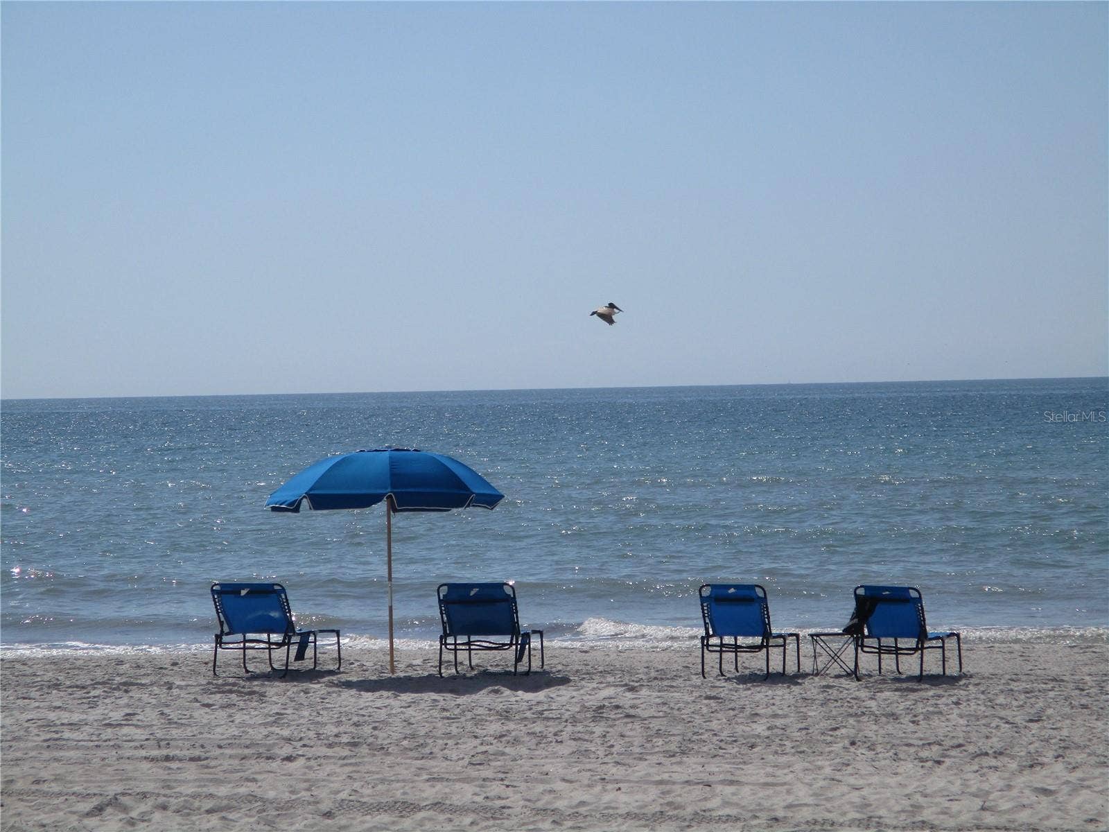 9825 HARRELL AVENUE, #404, Treasure Island, FL 33706 See you soon!