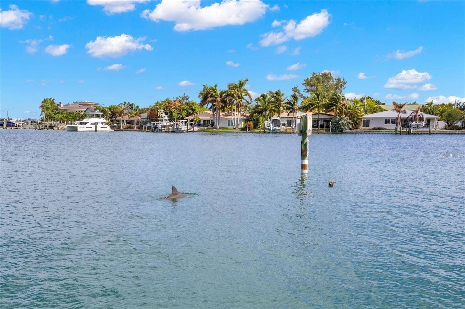 9825 HARRELL AVENUE, #404, Treasure Island, FL 33706 9825 HARRELL AVENUE, #404, Treasure Island, FL 33706