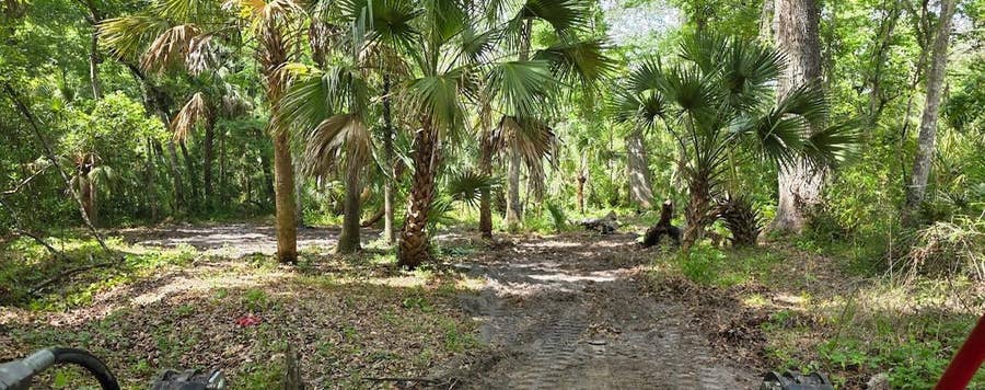 Property photo for 0 PAUL S BUCHMAN HIGHWAY, Zephyrhills, FL