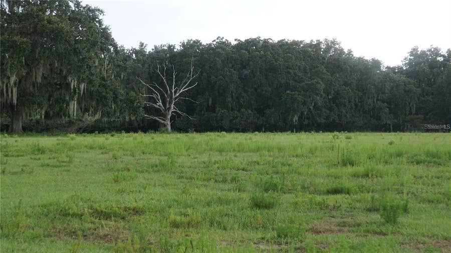 Property photo for DURANT RD, Dover, FL
