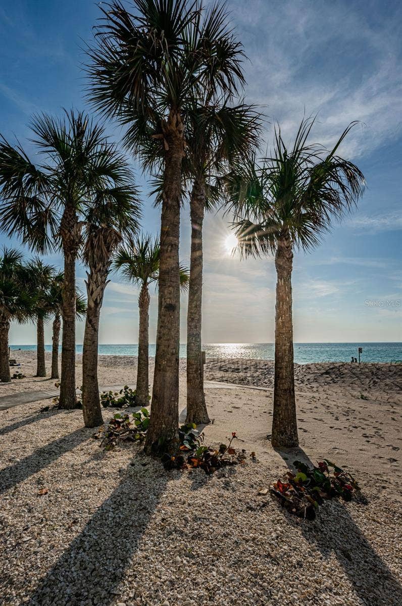 1660 GULF BOULEVARD, #208, Clearwater Beach, FL 33767 1660 GULF BOULEVARD, #208, Clearwater Beach, FL 33767