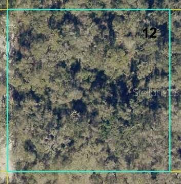 Property photo for 12146 SW 41ST WAY, Webster, FL