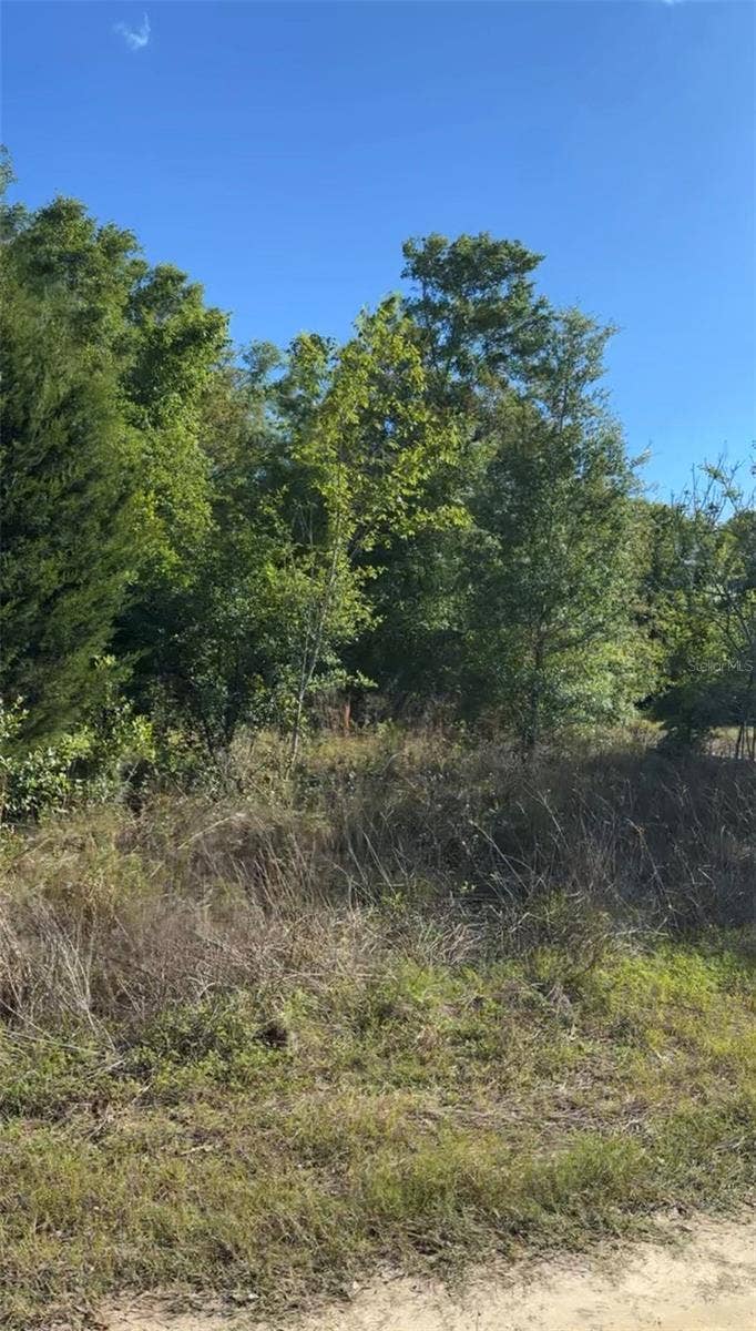Property photo for 2405 WILSON ST STREET, Inverness, FL