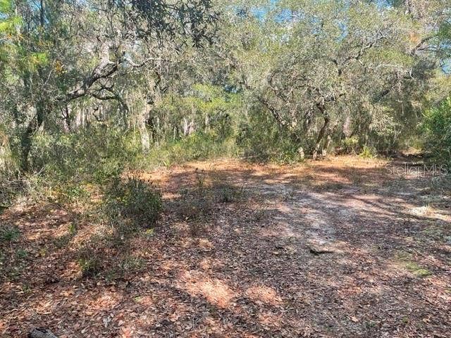 Property photo for 9345 SE 195TH AVENUE, Ocklawaha, FL