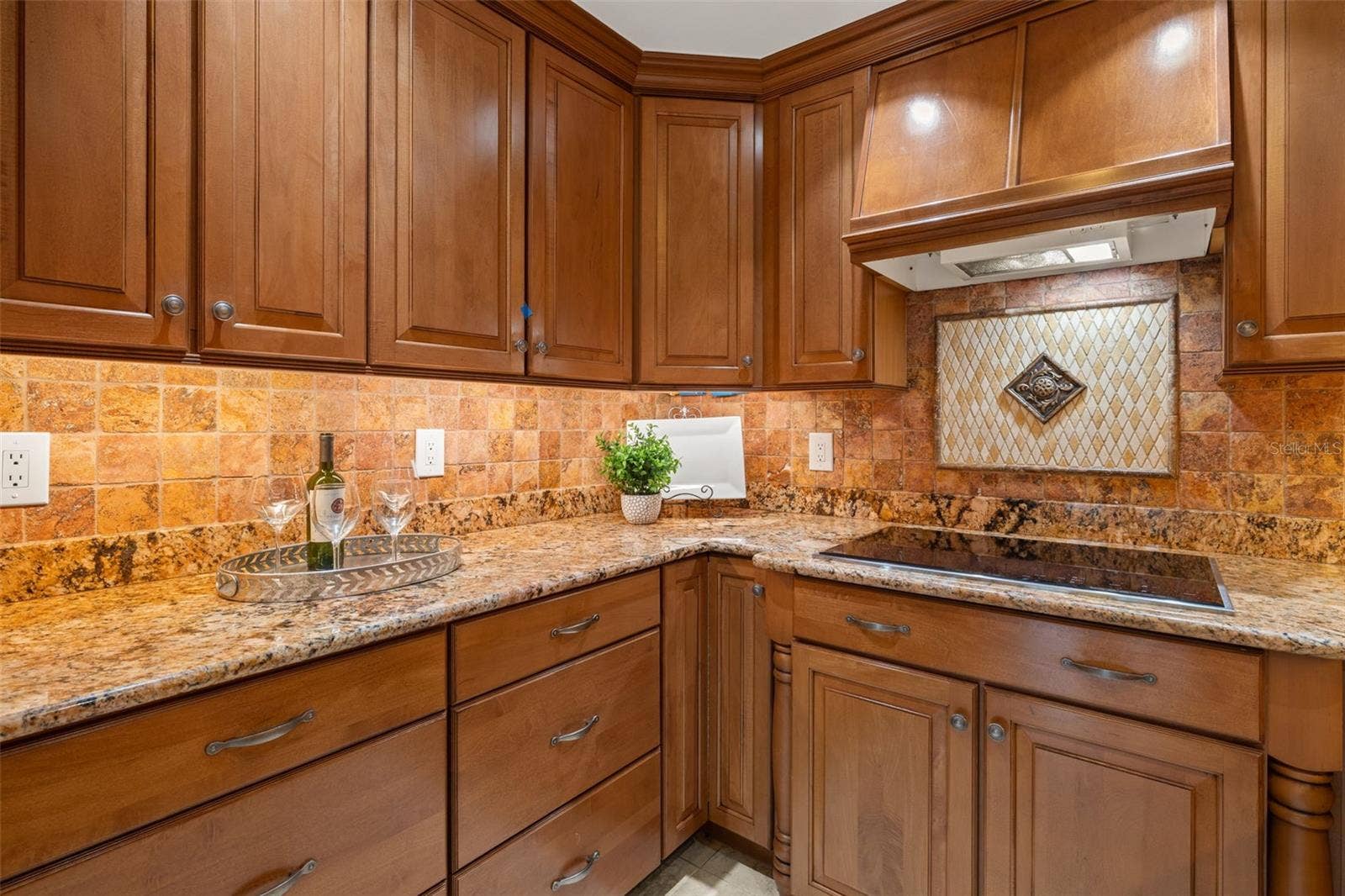 3233 W PARKLAND BOULEVARD, Tampa, FL 33609 Kitchen with induction cooktop and hooded vent