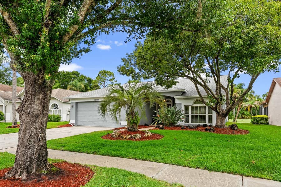 Property photo for 12823 ROYAL GEORGE AVENUE, Odessa, FL
