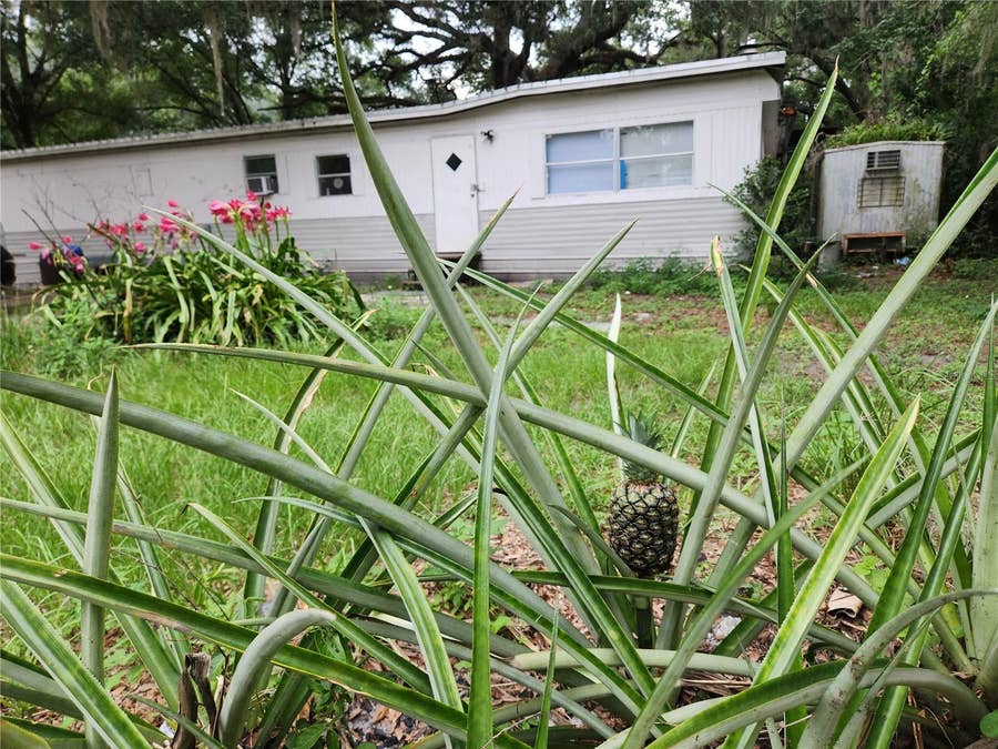 Property photo for 24815 AUDREY ROAD, Land O Lakes, FL
