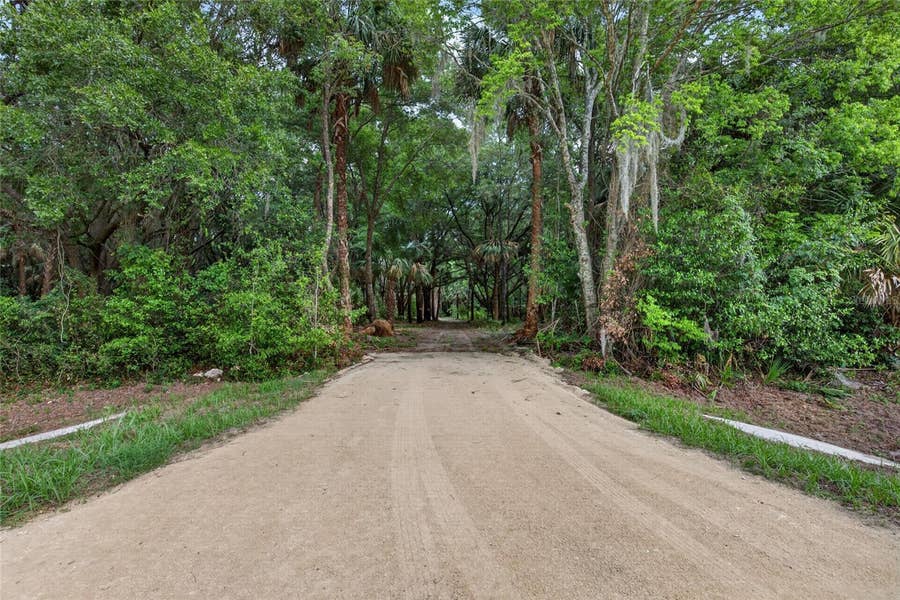 Property photo for 0 N US HWY 301, Citra, FL