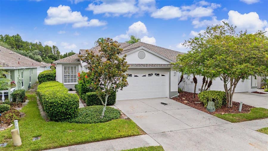 Property photo for 19309 WEYMOUTH DRIVE, Land O Lakes, FL
