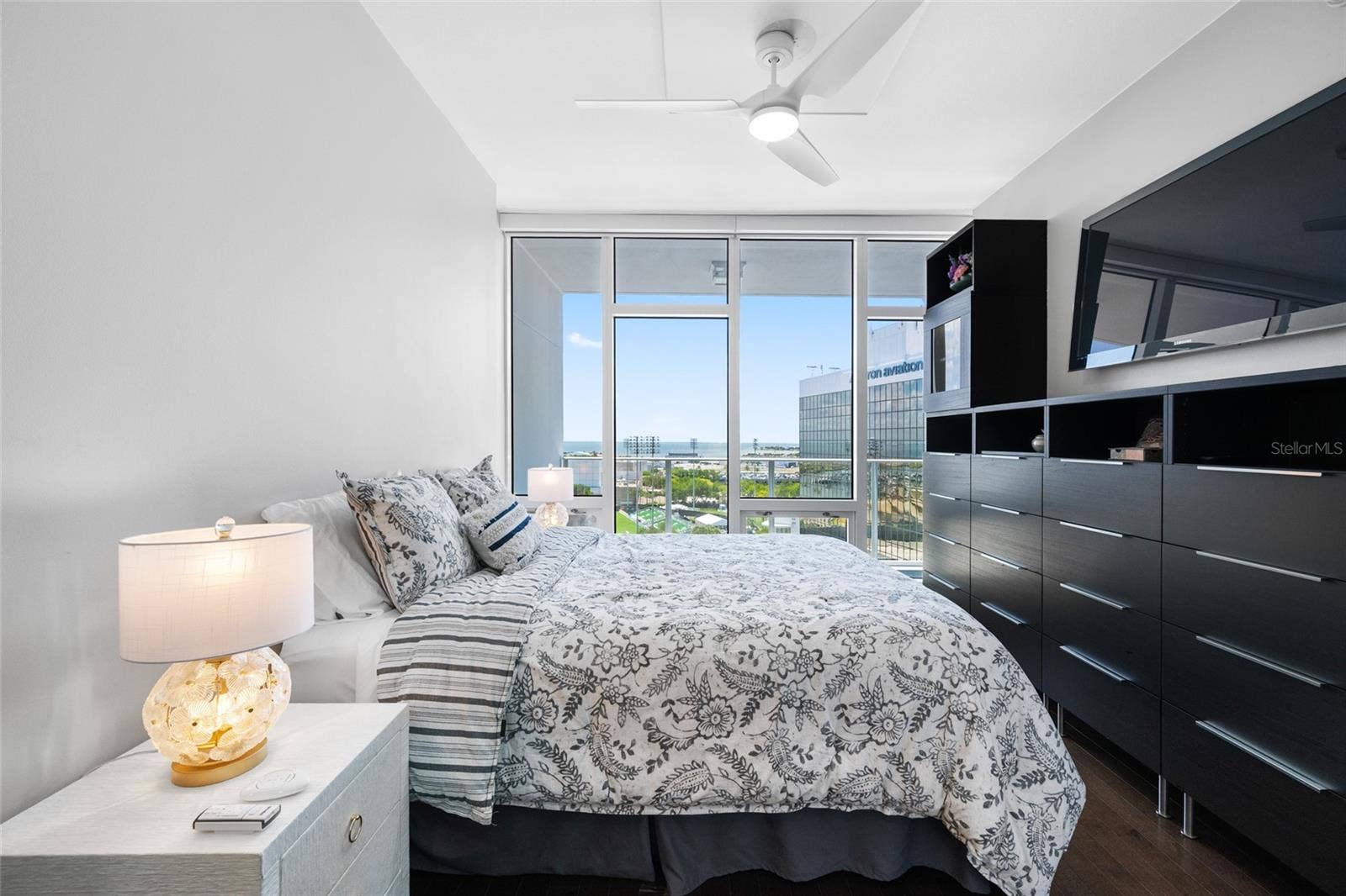175 1ST STREET S, #1204, St Petersburg, FL 33701 Extra storage