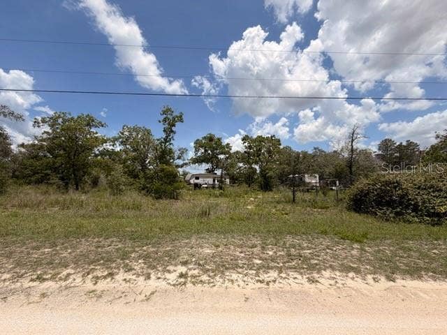 Property photo for 0 FULMAR ROAD, Weeki Wachee, FL